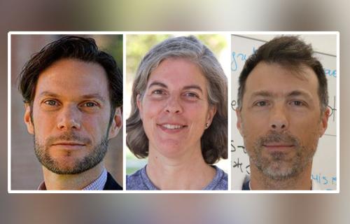 Headshots, from left, of Patrick Allard, Jessica Lynch and Martin Monti