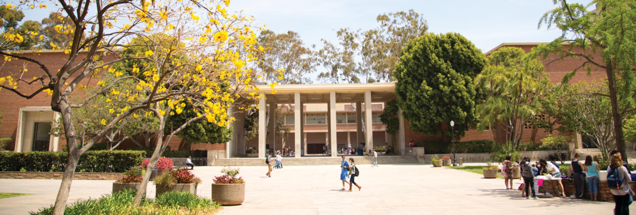 Young Hall